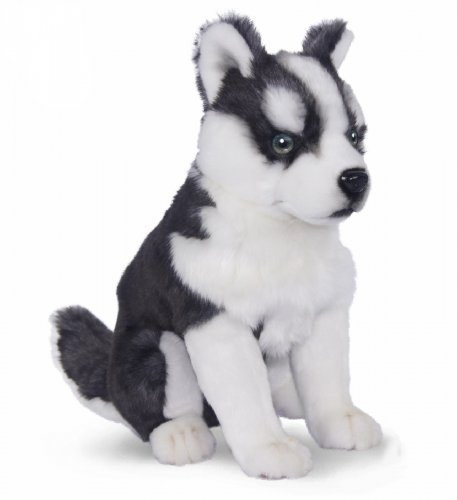 Soft Toy Dog, Husky Puppy Sitting by Hansa (33cm) 7511