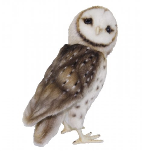 Soft Toy Barn Owl Bird of Prey by Hansa (27cm) 7644