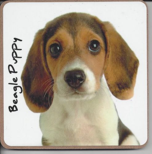 Beagle Dog or Puppy Coaster - Dog Lovers - 2 Designs 