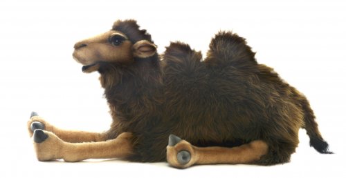 Soft Toy Camel by Hansa (55cm) 4655