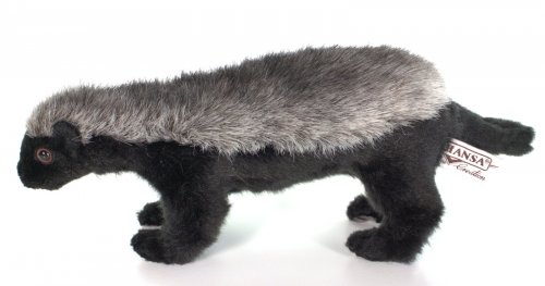 Soft Toy Ratel (Honey Badger) by Hansa (33cm) 6218
