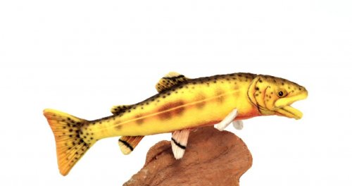 Soft Toy Golden Trout by Hansa (33cm) 6050