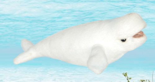 Soft Toy Beluga Whale by Hansa (25cm) 6631