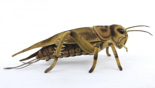 Soft Toy Cricket by Hansa (35cm) 8064