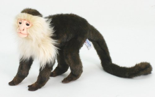 Soft Toy Capuchin Monkey by Hansa (27cm) 5852