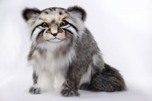 Soft Toy Wildcat, Pallas Cat by Hansa (42cm.H) 7169