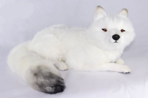 Soft Toy Arctic Fox Laying by Hansa (60cm.L) 7500