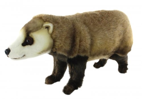 Soft Toy Japanese Badger by Hansa (56cm.L) 8148