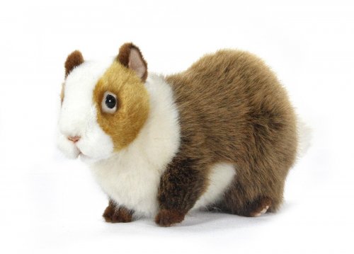 Soft Toy Guineapig by Hansa (32cm) 7039