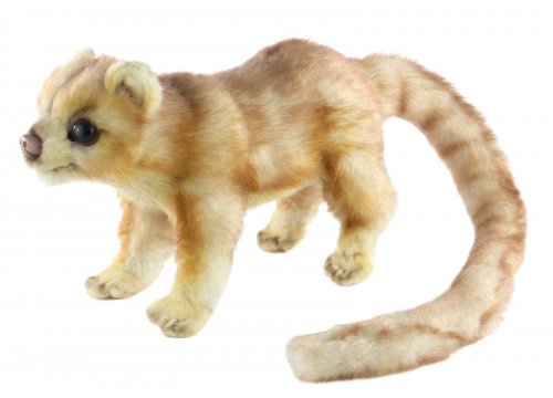 Soft Toy Kinkajou by Hansa (24cm) 6227