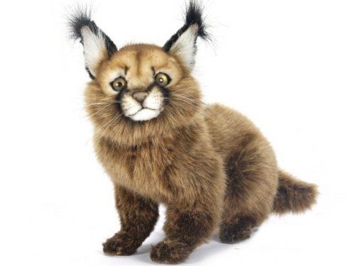 Soft Toy Wildcat, Caracal Cat by Hansa (26cm) 7047