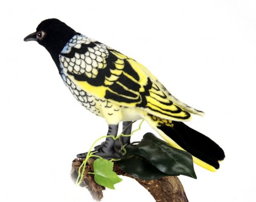 Soft Toy Bird, Regent Honey Eater by Hansa (16cm) 6040