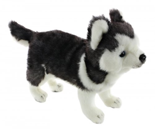 Soft Toy Dog, Husky Pup by Hansa (20cm.H) 6970