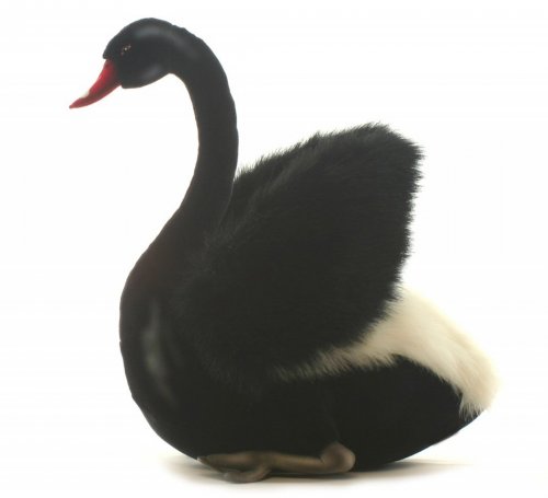 Soft Toy Bird, Black Swan by Hansa (29cm) 4086