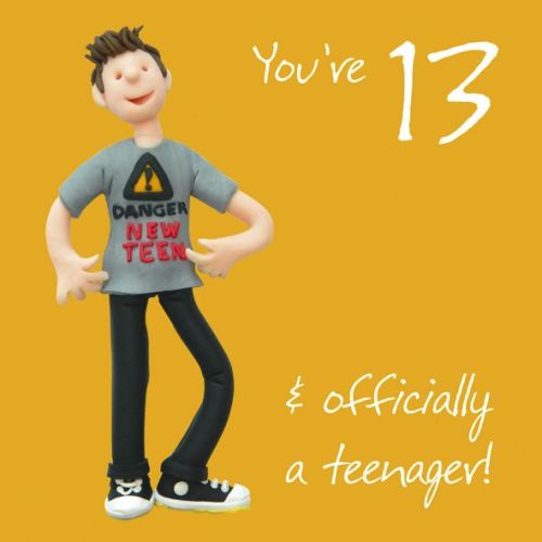 13th Male Birthday Card - Teenager Danger New Teen One Lump Or Two