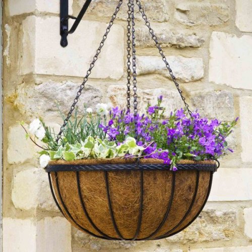 Smart Garden Saxon Hanging Basket 16?