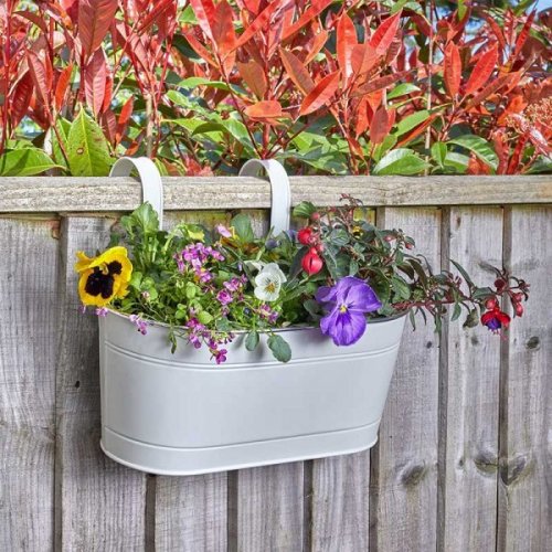 Smart Garden Classic Fence & Balcony Hanging Planter 12? - Ivory