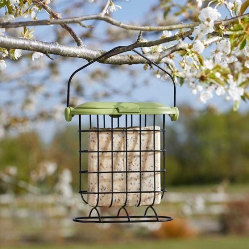 ChapelWood Suet Cake Feeder