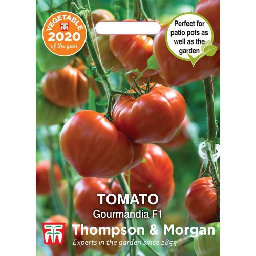 Thompson & Morgan Tomato Gourmandia F1 Hybrid