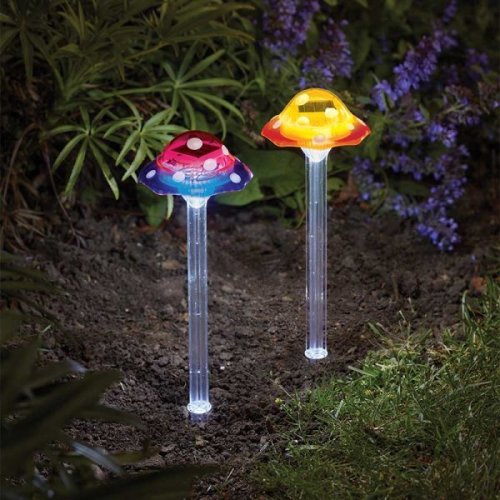 Smart Garden Funky Fungus Stake Light - Assorted