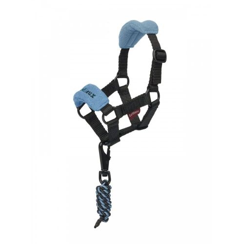 Lemieux Mini Toy Pony Accessories - Ice Blue Vogue Headcollar & Lead Rope