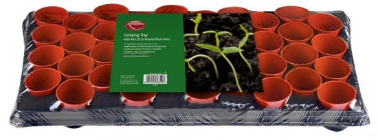 Ambassador Growing Tray - 18cm x 9cm Square Pots