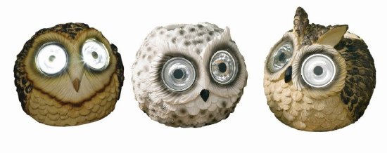 Smart Garden Bright Eye Owls - Assorted Designs