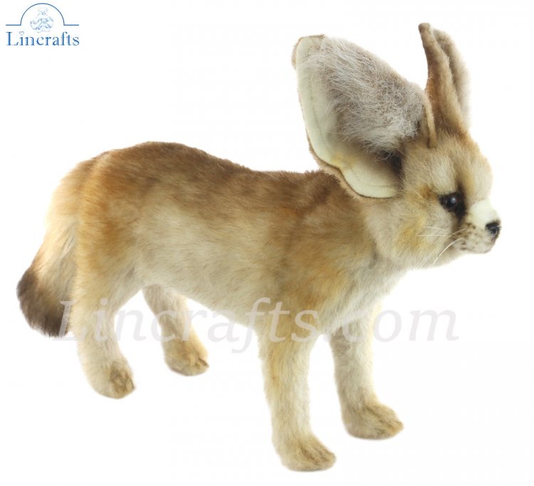 Hansa fennec store fox