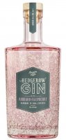 Sloemotion Hedgerow Gin with Rhubarb & Raspberry